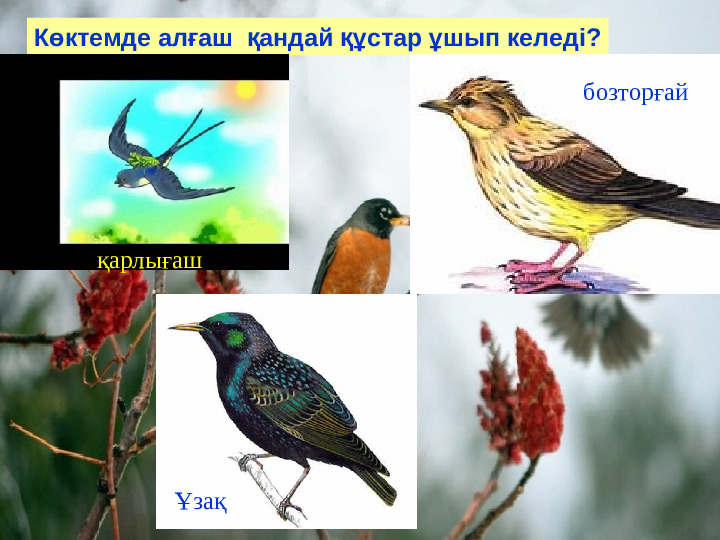 Презентация "Бізге көктем келді"