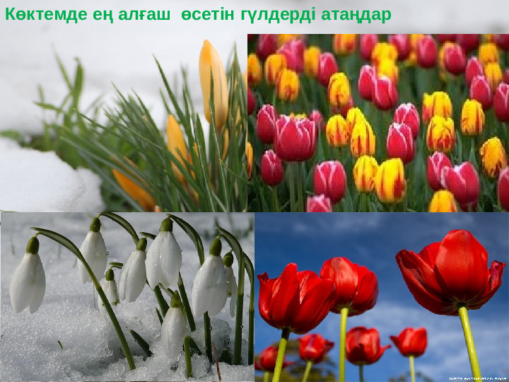 Презентация "Бізге көктем келді"