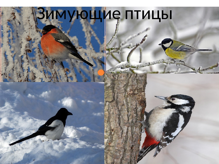" Путешествие в зимний лес "