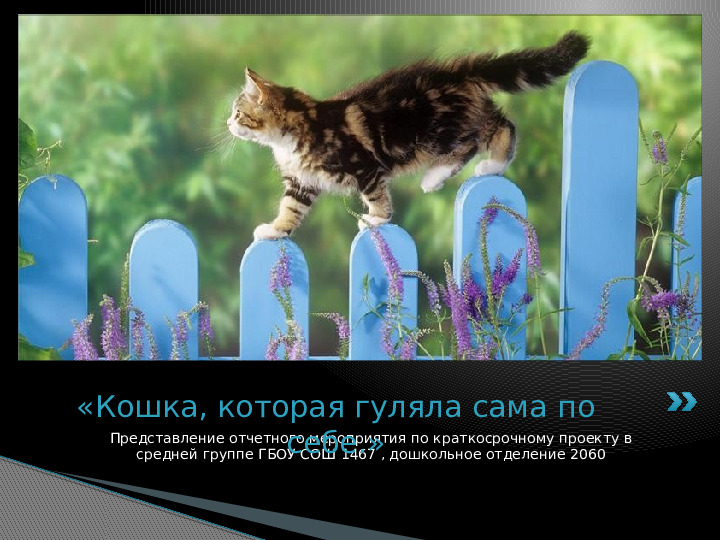 Презентация по краткосрочному проекту "Кошки в нашей жизни"