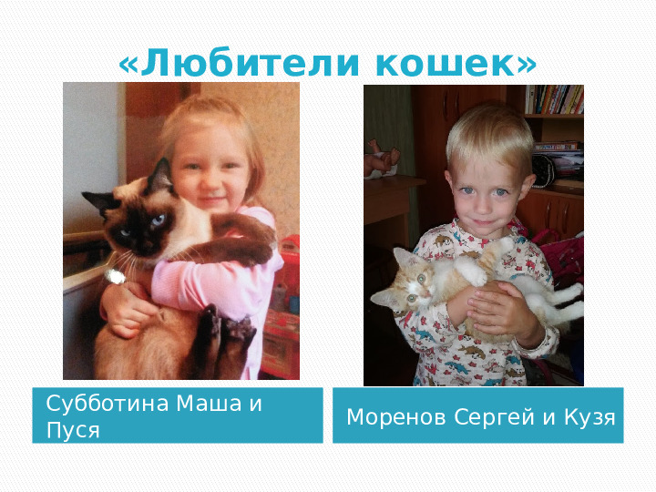Презентация по краткосрочному проекту "Кошки в нашей жизни"