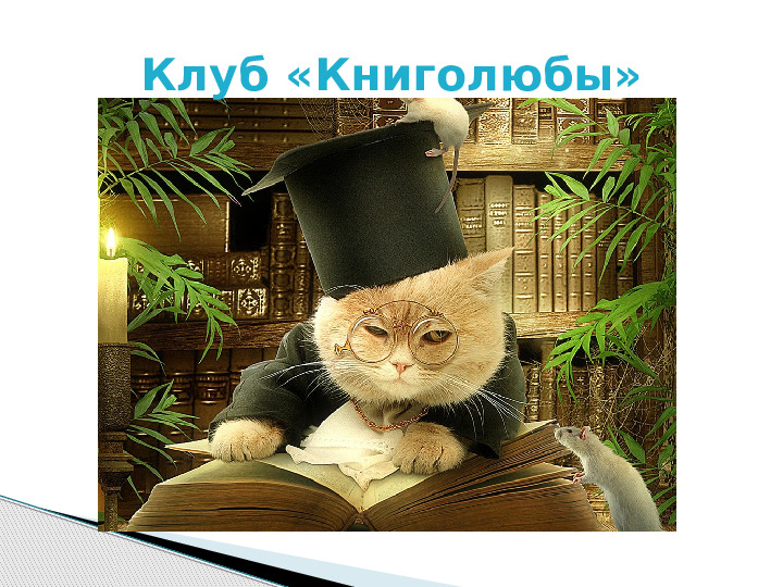 Презентация по краткосрочному проекту "Кошки в нашей жизни"