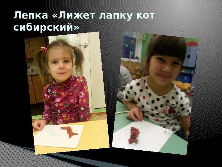 Презентация по краткосрочному проекту "Кошки в нашей жизни"