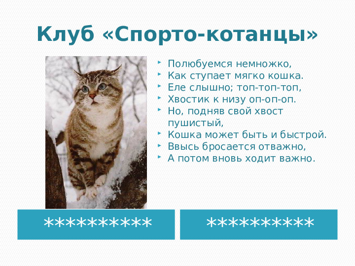 Презентация по краткосрочному проекту "Кошки в нашей жизни"