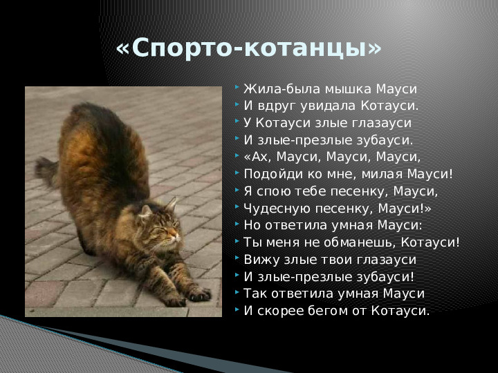 Презентация по краткосрочному проекту "Кошки в нашей жизни"
