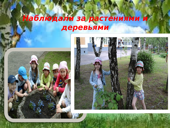 Презентация по теме "Прогулки в детсаду"