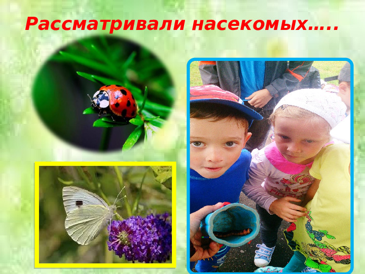 Презентация по теме "Прогулки в детсаду"