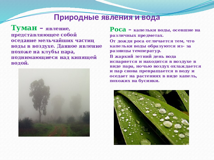 Презентация - приложение к экологическому проекту "Вода - это жизнь" (для старшей группы)