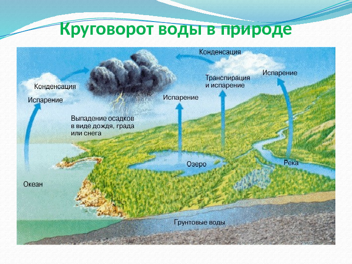 Презентация - приложение к экологическому проекту "Вода - это жизнь" (для старшей группы)