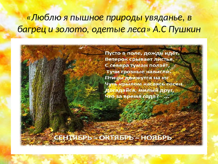 Презентация на тему " Осенняя фантазия"