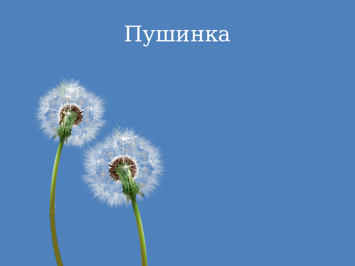 Упражнения для развития вокального дыхания