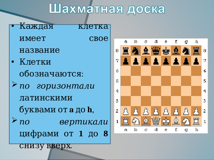 Презентация "Шахматы - это спорт или игра?"