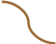 Shape7