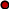 Shape37