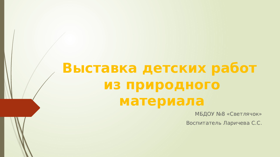 Презентация детских работ из природного материала