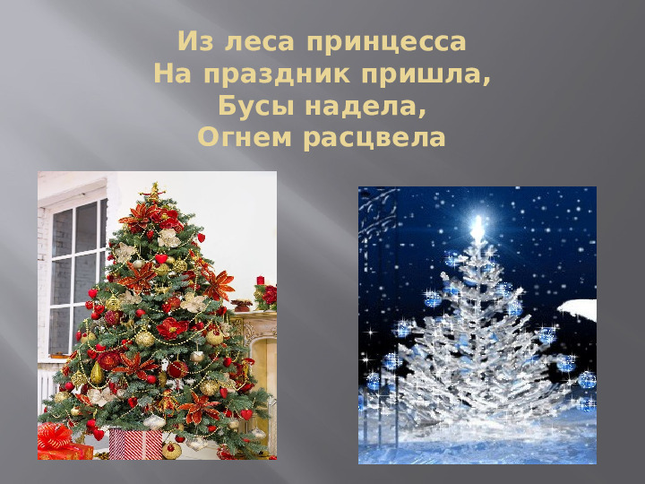Презентация "Загадки Деда Мороза" для детей дошкольного возраста