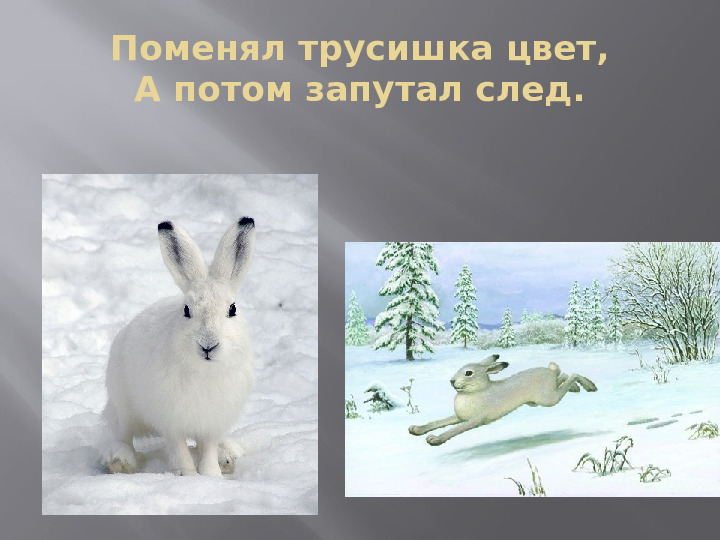 Презентация "Загадки Деда Мороза" для детей дошкольного возраста
