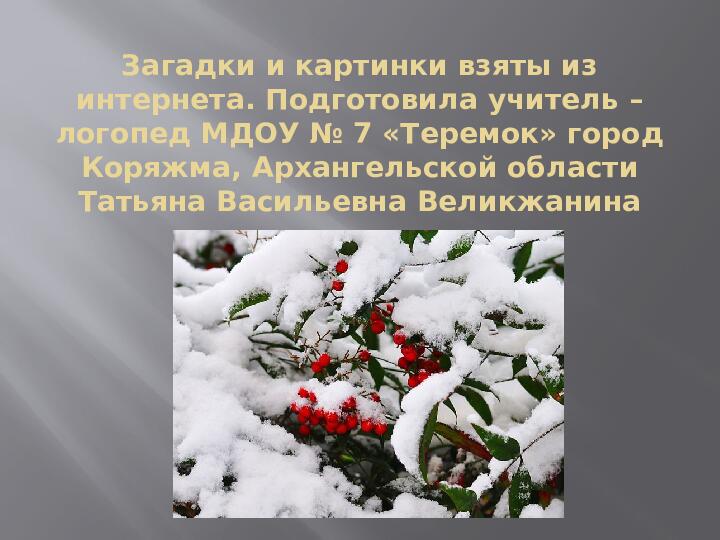 Презентация "Загадки Деда Мороза" для детей дошкольного возраста