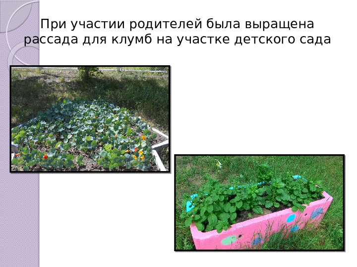 Презентация "Активное взаимодействие детского сада с семьёй"