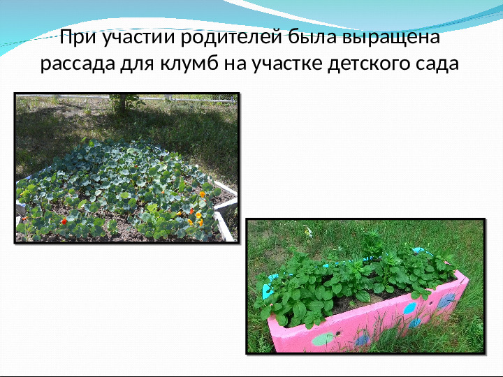 Отчёт о проделанной работе за летний оздоровительный период