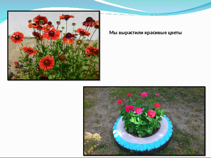 Отчёт о проделанной работе за летний оздоровительный период