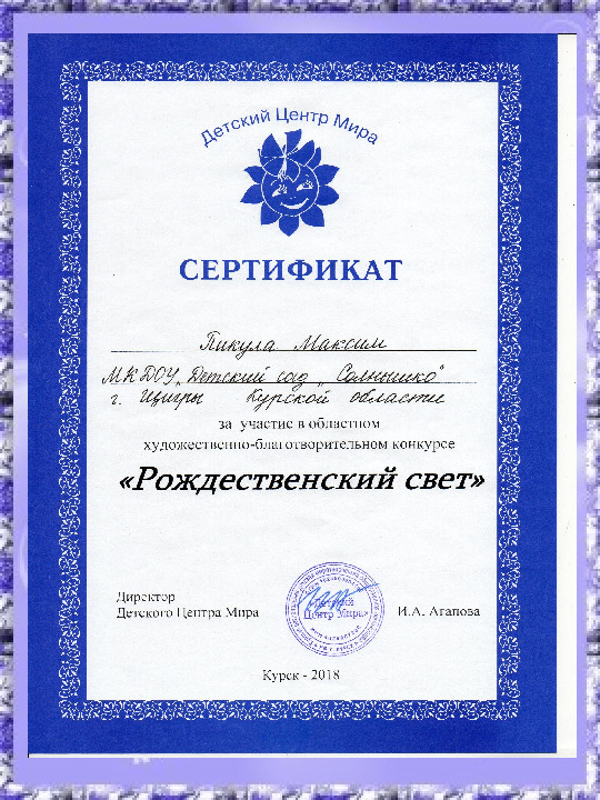 Презентация участия в областном благотворительном конкурсе "Рождественский свет"