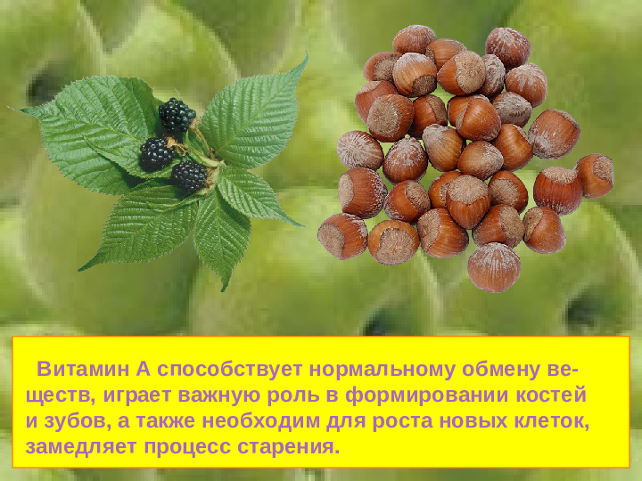 Презентация на тему "Витамины"