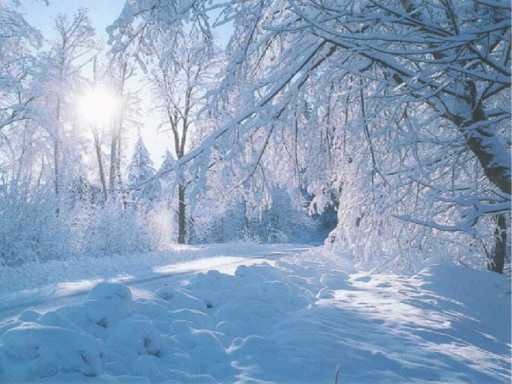 Презентация группы "Тёплая семейка"