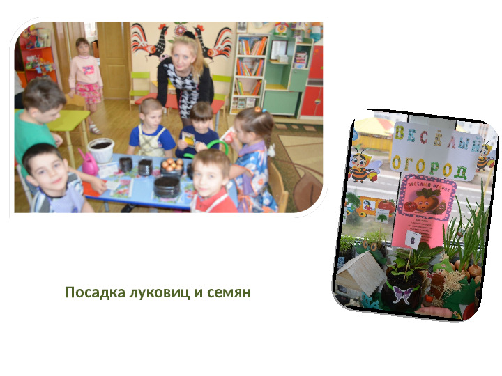 Презентация на тему "Наш весёлый огород" для группы общеразвивающей направленности (для детей 6-8 лет).