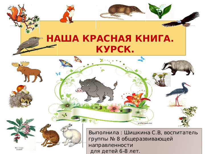 Презентация на тему "Наша КРАСНАЯ КНИГА. Курск." для группы общеразвивающей направленности (для детей 6-8 лет).