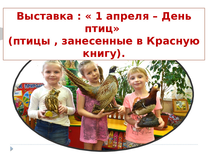 Презентация на тему "Наша КРАСНАЯ КНИГА. Курск." для группы общеразвивающей направленности (для детей 6-8 лет).