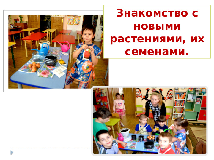Презентация на тему "Наша КРАСНАЯ КНИГА. Курск." для группы общеразвивающей направленности (для детей 6-8 лет).