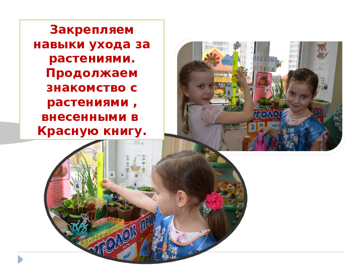 Презентация на тему "Наша КРАСНАЯ КНИГА. Курск." для группы общеразвивающей направленности (для детей 6-8 лет).
