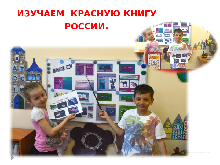 Презентация на тему "Наша КРАСНАЯ КНИГА. Курск." для группы общеразвивающей направленности (для детей 6-8 лет).