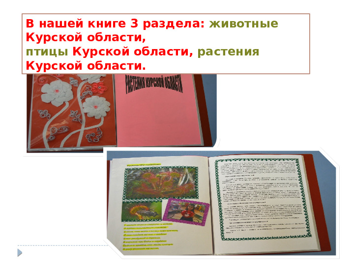Презентация на тему "Наша КРАСНАЯ КНИГА. Курск." для группы общеразвивающей направленности (для детей 6-8 лет).