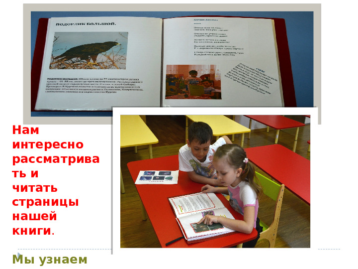 Презентация на тему "Наша КРАСНАЯ КНИГА. Курск." для группы общеразвивающей направленности (для детей 6-8 лет).