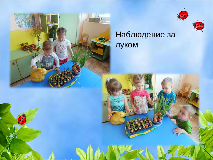 Презентация проекта "Как научить любить природу"