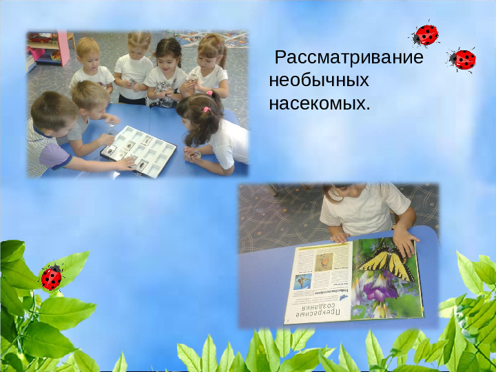 Презентация проекта "Как научить любить природу"