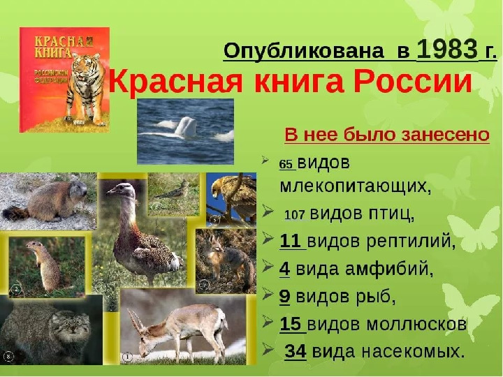 Красная книга -Экология души