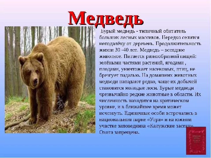 Красная книга -Экология души