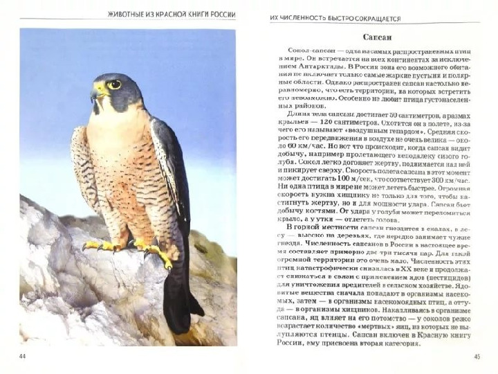 Красная книга -Экология души