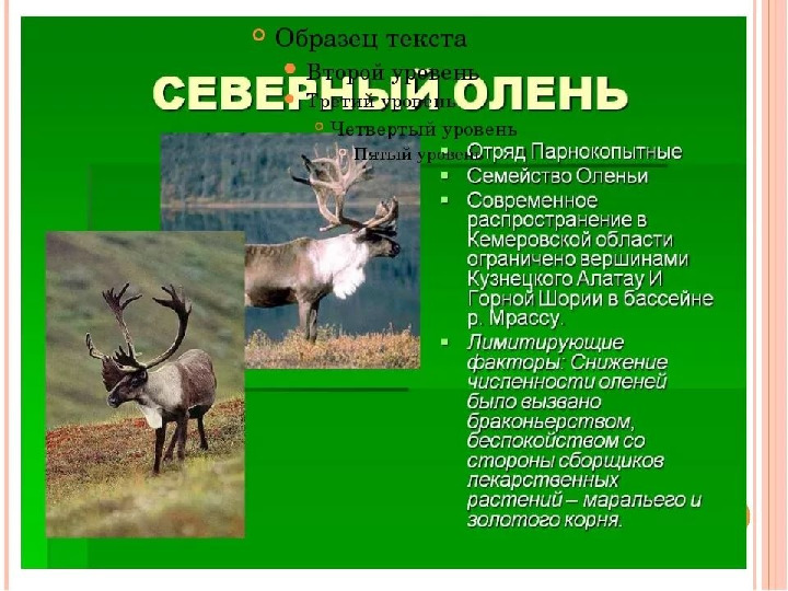 Красная книга -Экология души