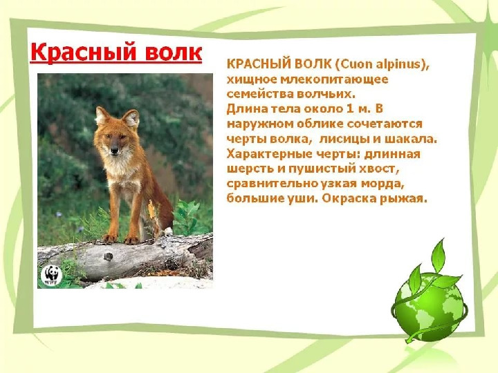 Красная книга -Экология души