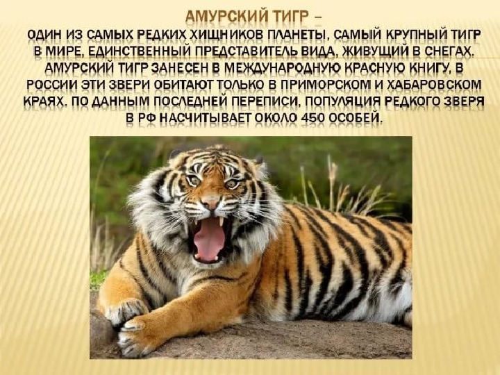 Красная книга -Экология души
