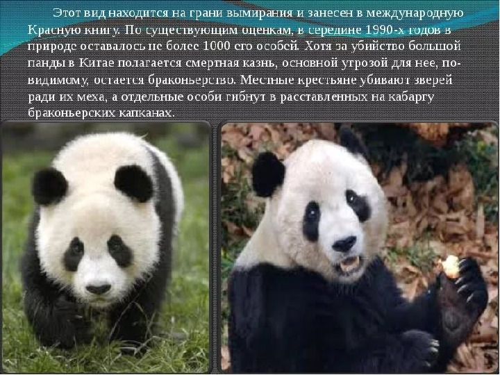 Красная книга -Экология души