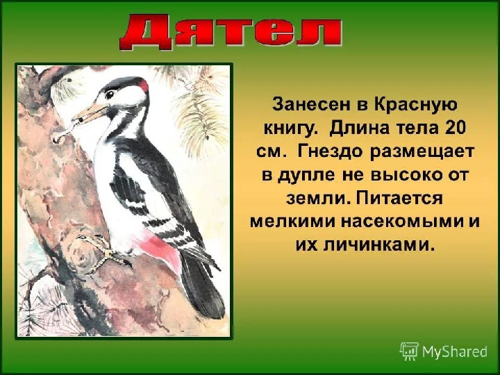 Красная книга -Экология души