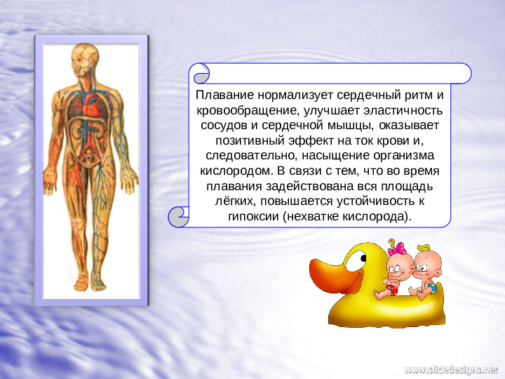 Плавание для детей: спорт или здоровье?