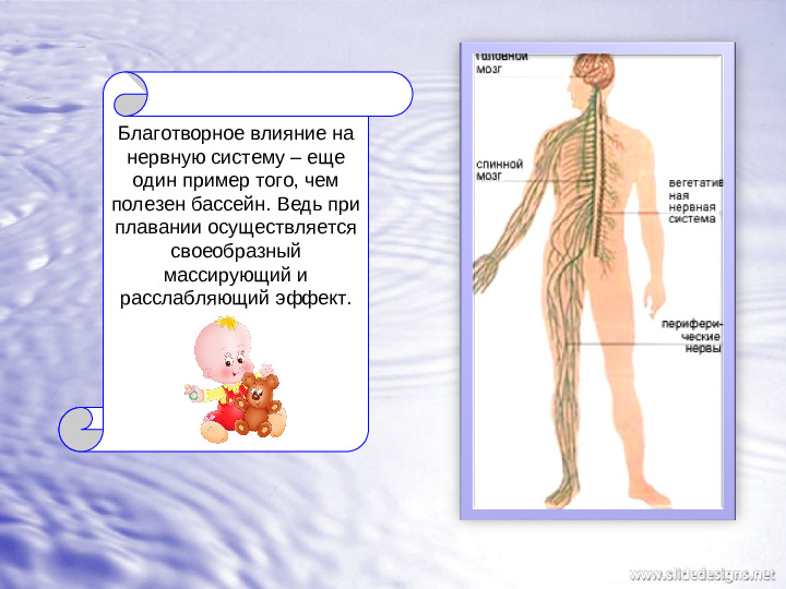 Плавание для детей: спорт или здоровье?