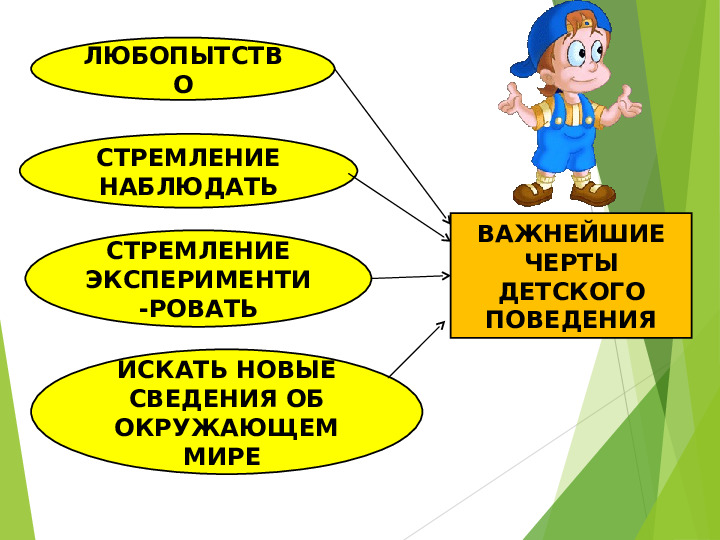Презентация "«Развитие исследовательского поведения ребенка дошкольного возраста в ДОУ».