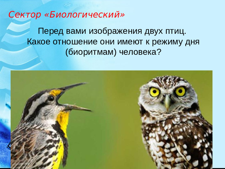 Педсовет в ДОУ "Здоровье с детства"
